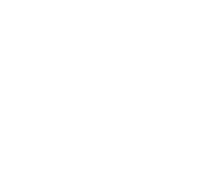 np.3