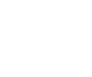 no.5