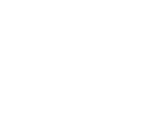 no.6